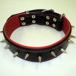 Leder Hundehalsband #5